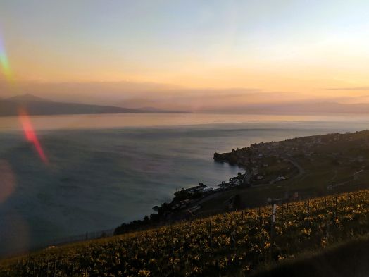 geneva