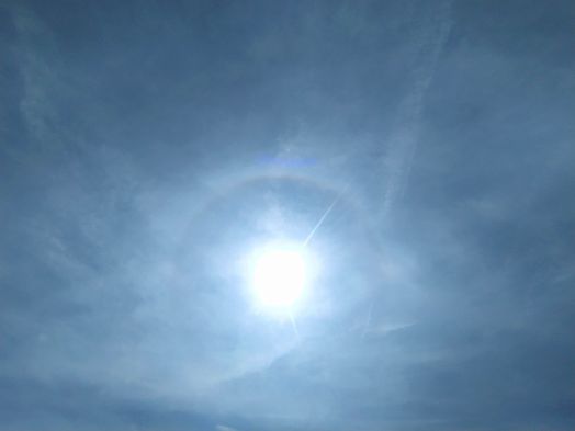 haloII